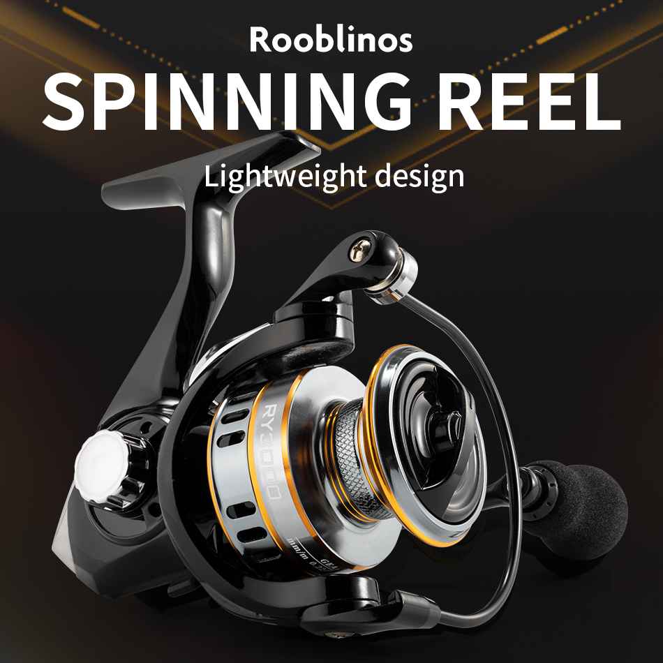 ROOBLINOS RY Draaiende haspels - Daiwa Reel Bg recensie en prijs